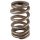 PAC V-10 Viper Ovate Beehive Valve Spring