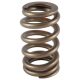 PAC V-10 Viper Ovate Beehive Valve Spring
