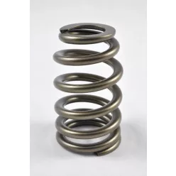 PAC Beehive Ovate Valve Spring 1.405 OD