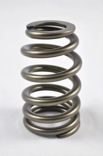 PAC Beehive Ovate Valve Spring 1.405 OD