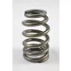 PAC Beehive Ovate Valve Spring 1.405 OD