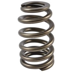 PAC Beehive Ovate Valve Spring 1.405 OD