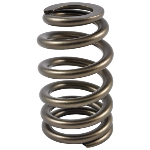 PAC Beehive Ovate Valve Spring 1.405 OD