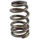 PAC Beehive Ovate Valve Spring 1.405 OD