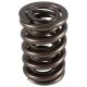 PAC Circle Track 1200 Series Valve Spring 1.545 Dual & Dampe