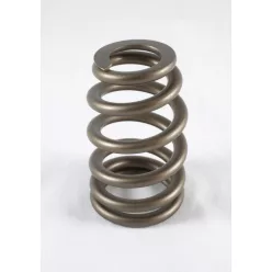 PAC Beehive Ovate Valve Spring 0.750 Lift