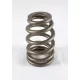 PAC Beehive Ovate Valve Spring 0.750 Lift