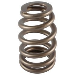 PAC Beehive Ovate Valve Spring 0.750 Lift