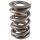 PAC Circle Track 1300 Series Valve Spring 1.550 Dual Drag Ra