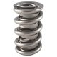 PAC Circle Track 1300 Series Valve Spring 1.550 Dual  damper