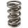 PAC Dual Drag Race 1300 Series Valve Spring 1.300 OD 1.800 0