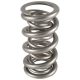 PAC Dual Drag Race 1300 Series Valve Spring 1.500 OD 2.150 0