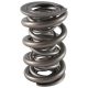 PAC Drag Race 1300 Series Valve Spring 1.645 Triple - Bracke
