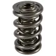 PAC Triple Drag Race 1300 Series Valve Spring 1.681 OD, 0.95