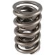 PAC Circle Track 1300 Series Valve Spring High Lift Roller S