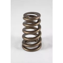 PAC BBC Stock Eliminator Conical Spring