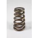 PAC BBC Stock Eliminator Conical Spring