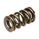 PAC LS Dual Hot Rod Valve Spring (NOT FOR RACING USE)