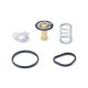 Mishimoto Thermostat Ford Fiesta ST 2014+ 71°C