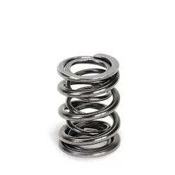 Supertech Valve Spring Set Nissan SR20