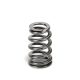 Supertech Valve Spring Set BMW B58/N54/55 / Ford 3.5 Ecob