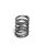 Supertech Valve Spring Set Toyota 2TR/3UZ