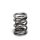 Supertech VW Dual Valve Spring 30.40/23.20/21.90/16.50mm