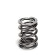 Supertech VW Dual Valve Spring 30.40/23.20/21.90/16.50mm