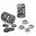 Supertech Valve Spring Kit VAG 1.8L 20v T