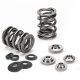 Supertech Valve Spring Kit VAG 1.8L 20v T