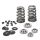 Supertech Valve Spring Kit Toyota B58