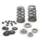 Supertech Valve Spring Kit Toyota B58