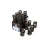 Piper Double Valve Springs Austin Healey 3000