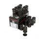 Piper Double Valve Springs Inc Caps Opel X14XE/X16XE