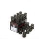 Piper Double Valve Springs Ford 2.0L YB