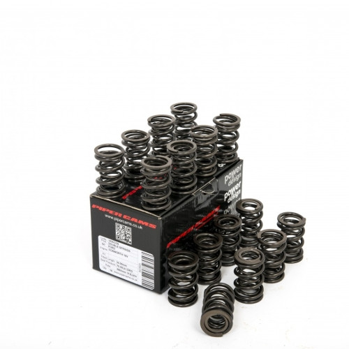 Piper Double Valve Springs Ford 2.0L YB