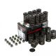 Piper Double Valve Springs Ford 1.8/2.0/2.3 16v Duratec