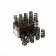 Piper Double Valve Spring Kit Ford 2.0L EcoBoost
