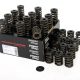 Piper Double Valve Springs Jaguar XJ6 3.8/4.2L 6-Cyl