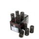 Piper Double Valve Springs BMC A Series