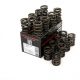 Piper Double Valve Springs Honda K20 I-VTEC