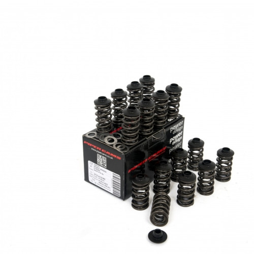 Piper Double Valve Spring Kit Peu/Citr 1.6 16v TU5JP4