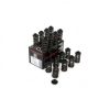 Piper Double Valve Spring Kit Peu/Citr 1.6 16v TU5JP4