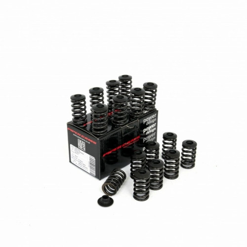 Piper Single Valve Spring Kit Inc Caps Peu 2.0L 16v EW10J4