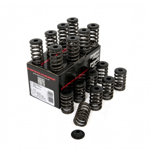 Piper Single Valve Spring Kit Ford 2.3L Ecoboost