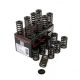 Piper Single Valve Spring Kit Ford 2.3L Ecoboost