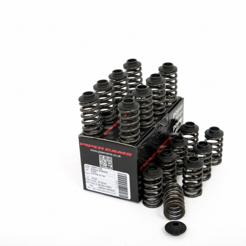 Piper Single Valve Spring Kit Inc Caps Ford 2.0L 16v ST170