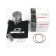 Arctic Cat 370 Panther/Z370'99-08 2402CD