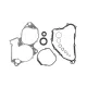 Cometic Bottom End Kit With Crank Seals Honda CR250 '02-04
