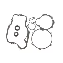Cometic Bottom End Kit With Crank Seals Kawasaki KX250 01-01